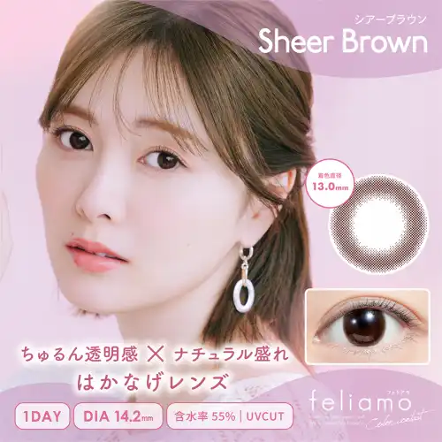 シアーブラウン feliamo 1day 10P